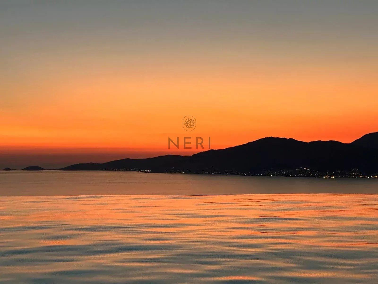 Photo numéro 11