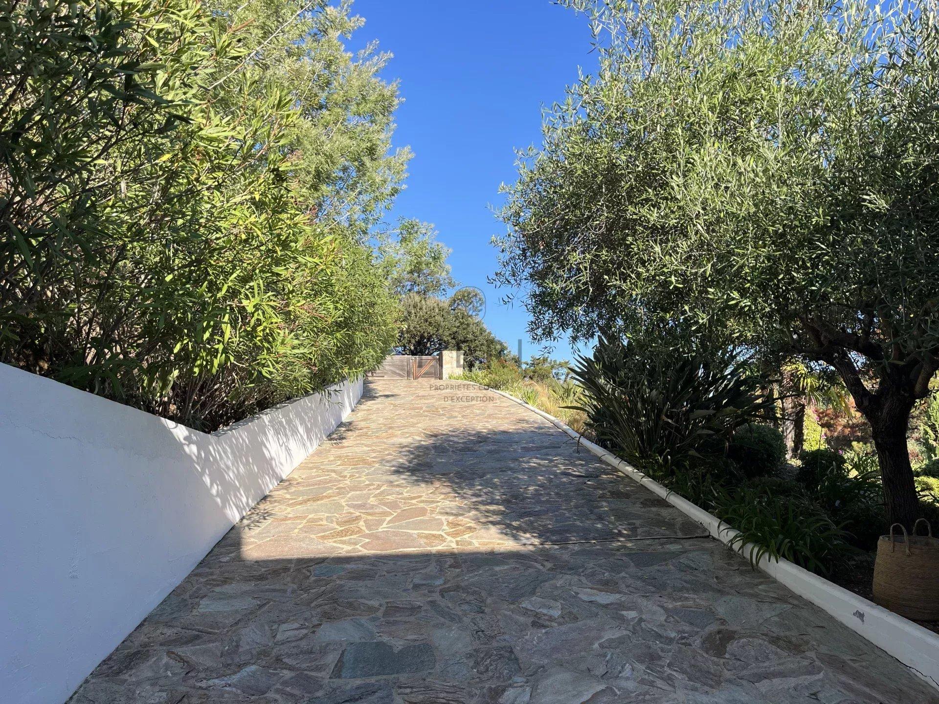 Photo numéro 21