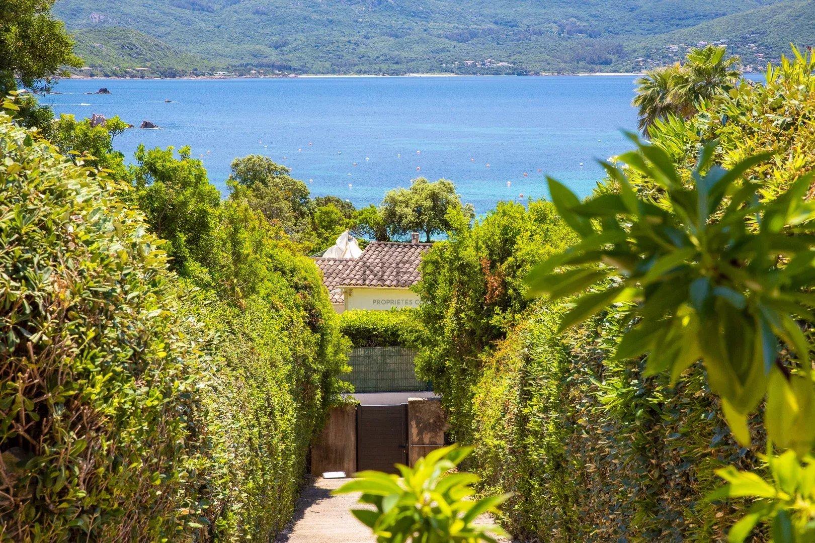 Photo numéro 6