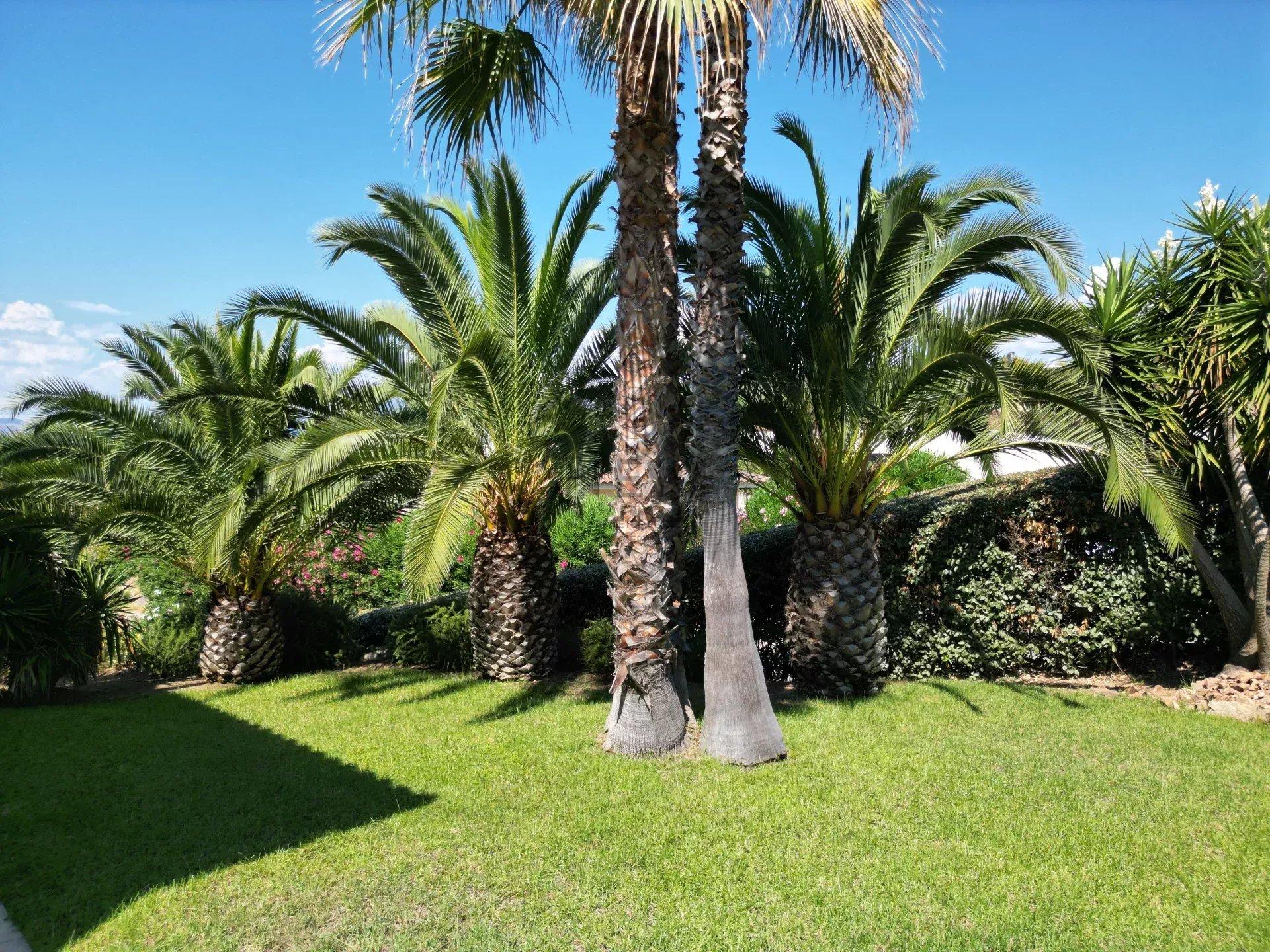 Photo numéro 4