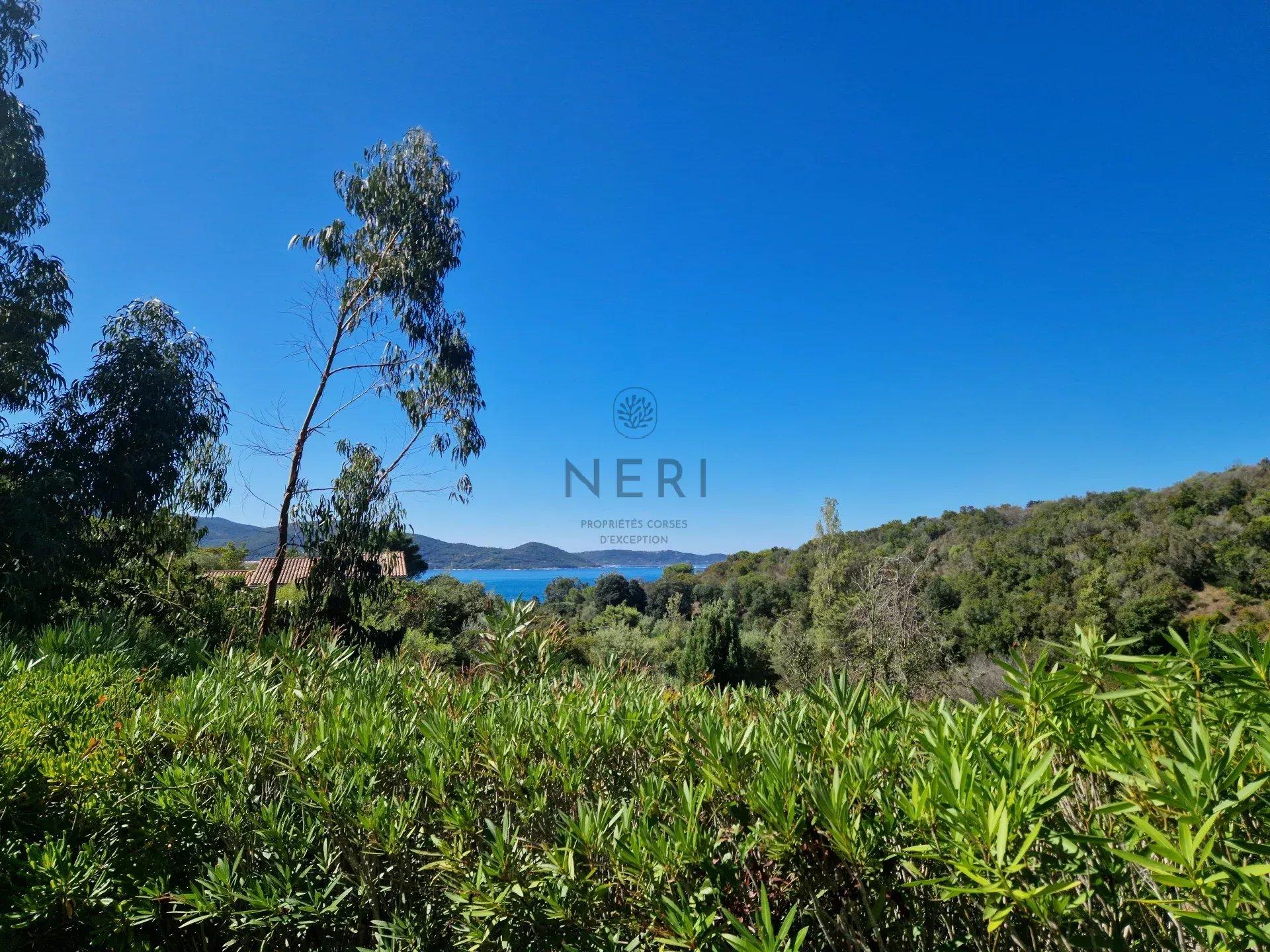 Photo numéro 12