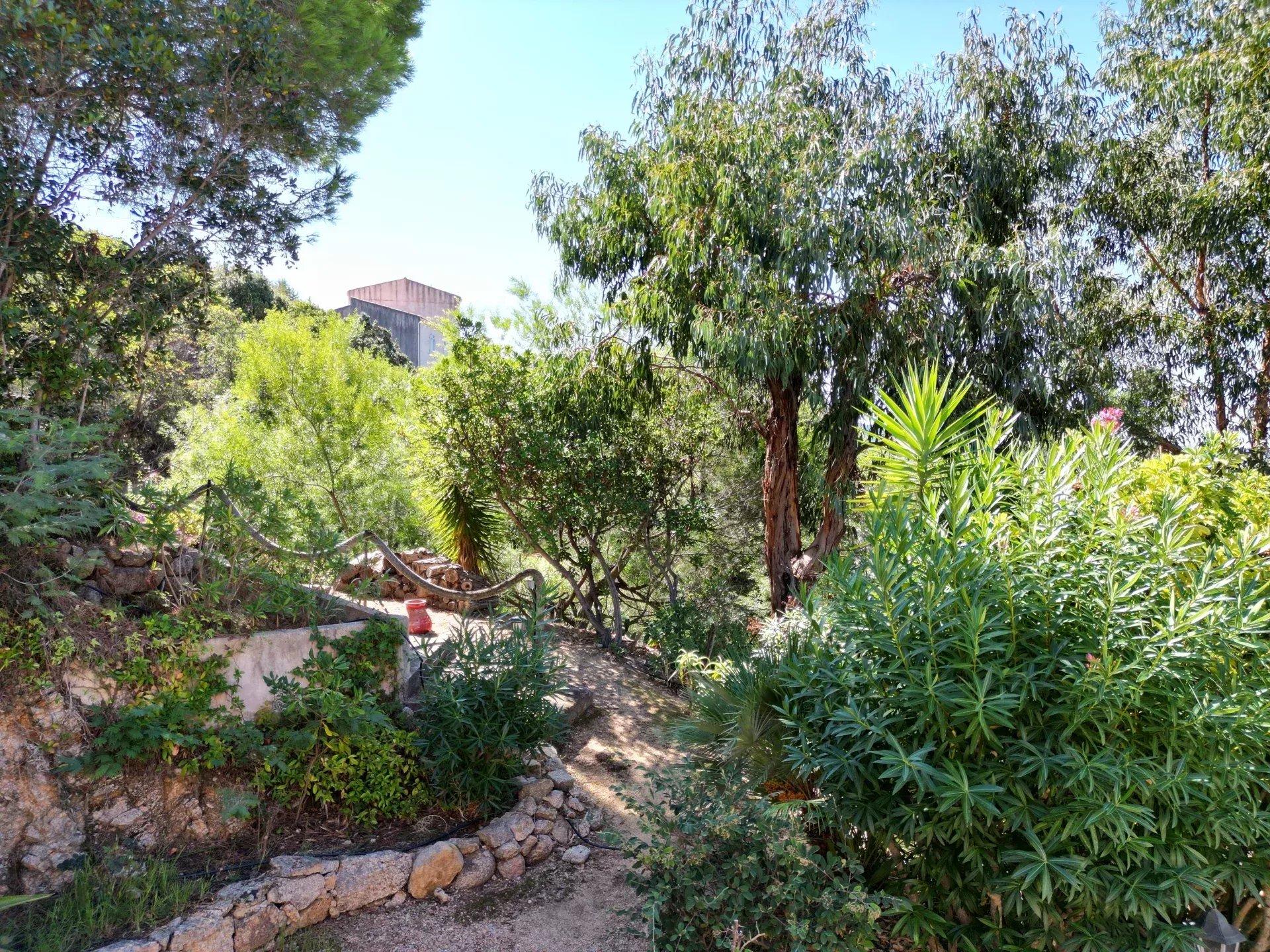 Photo numéro 14